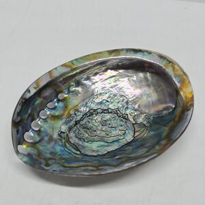 Natural Iridescent Large Abalone Shell 6" Soap Dish Trinket Mother Of Pearl